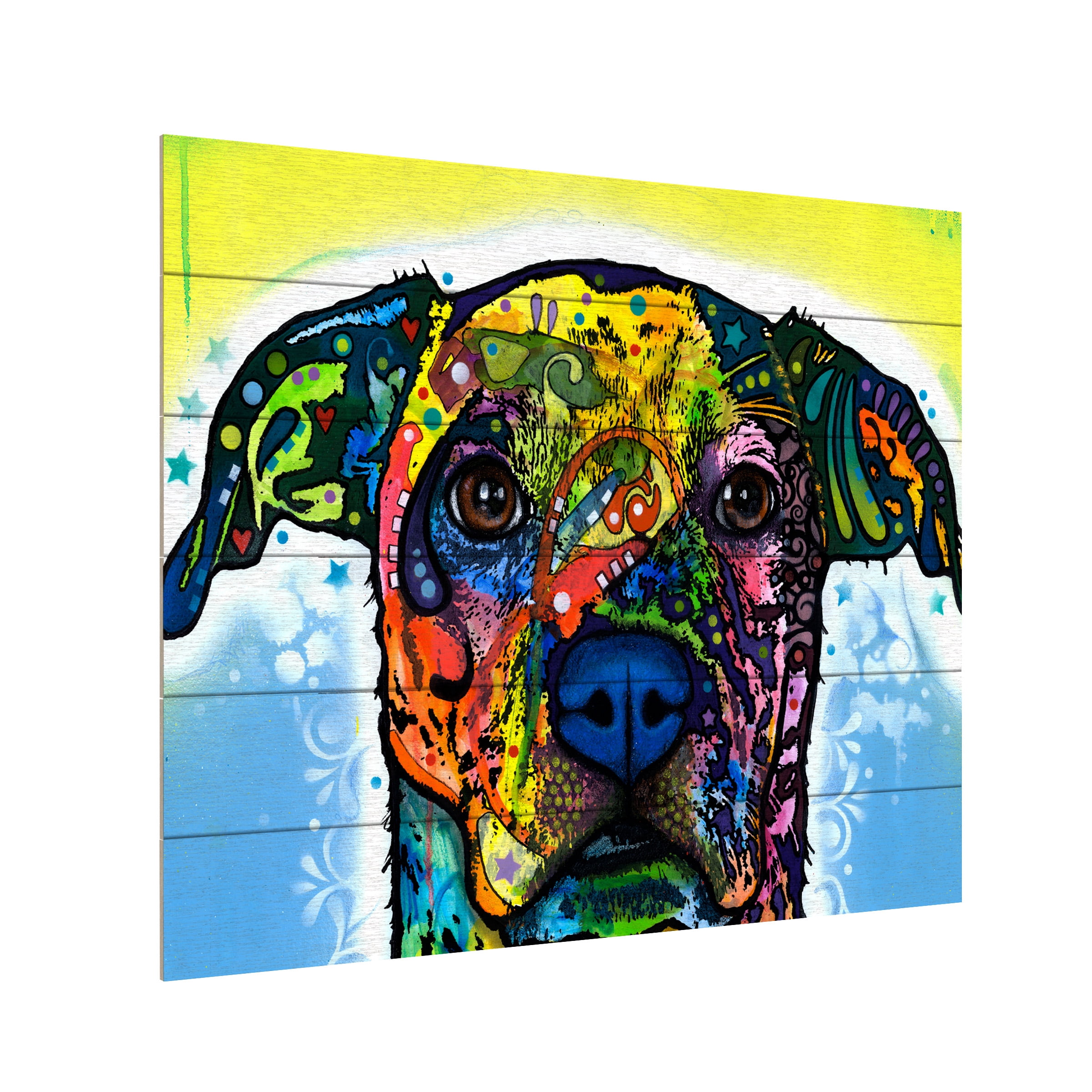 Trademark Fine Art 'Fiesta' Wooden Wall Art Art by Dean Russo
