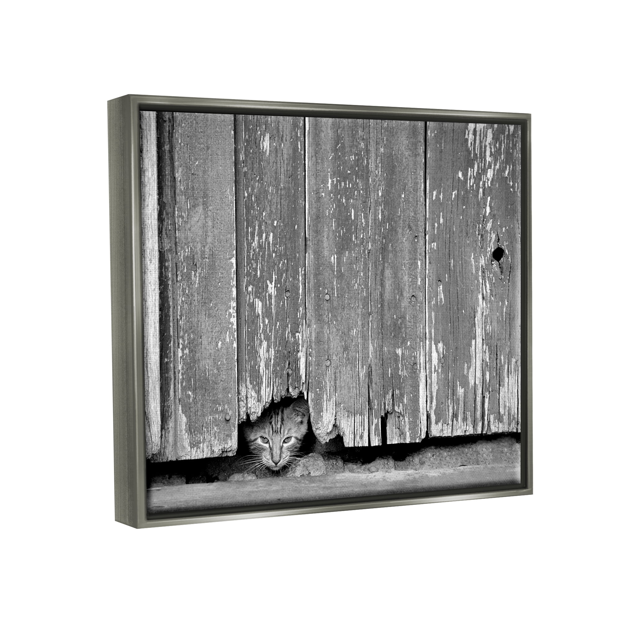 Stupell Industries Rustic Cat Peeking Animals & Insects Photography Gray Floater Framed Canvas Art Print Wall Art, 31 x 25