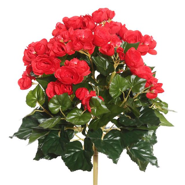 Buisson Floral Bégonia Rouge - 15.25 Po.