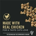 thumbnail image 2 of Purina Pro Plan Vital Systems Chicken and Egg Formula Dry Kitten Food 4-in-1 Immune, Muscles, Kidney and Brain, 5 lb Bag, 2 of 10