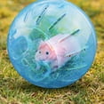 thumbnail image 1 of Mini pelota de plástico para correr Ndcxsfigh Hámster Jerbo Juguetes Azul, 1 of 9