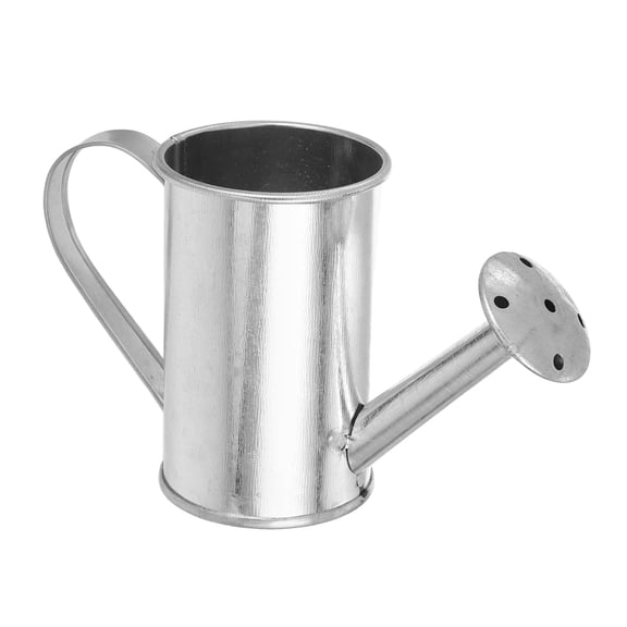 CIMAXIC Galvanized Iron Watering Can Plated Silver Metal Leakproof Indoor Outdoor Gardening Pot