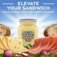 thumbnail image 6 of Grey Poupon Single Serve Dijon Mustard, 0.25 oz. Packets (Pack of 200), 6 of 12