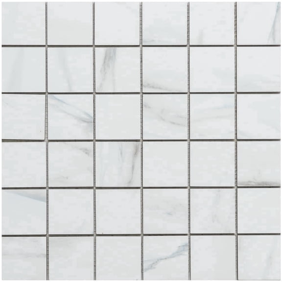 The Tile Life Minerva 2" x 2" Calacatta Blue Matte Porcelain Floor and Wall Tile Case of 4