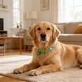 thumbnail image 3 of Creatine Soft Knit Cat Collar With Breakaway Buckle Comfortable Necklace For Indoor Outdoor, 3 of 6