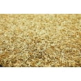 thumbnail image 2 of Creeping Red Fescue Seed by Eretz 25lb - CHOOSE SIZE! Willamette Valley Oregon Grown, No Fillers, No Weed or Other Crop Seeds, Premium Shade Grass Seed., 2 of 5