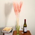thumbnail image 4 of Hierba De Pampa Pequeña Seca Natural, Decoración Phragmites Communis Para El Hogar, Hotel, Boda (Rosa, 15 Piezas) Muyoka Hogar, 4 of 6