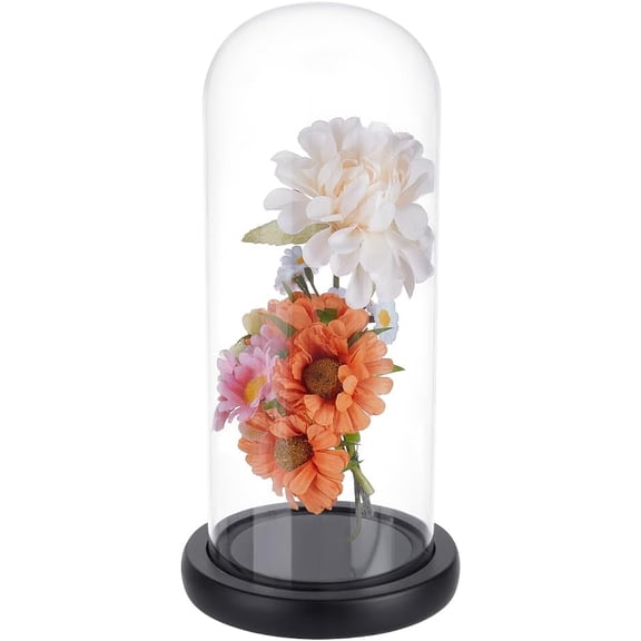 10.6 Inch Tall Clear Cloche Glass Dome with Black Base Handmade Glass Cloche Collectibles Decorative Bell Jar for Succulents Plants