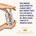 thumbnail image 3 of Daytrip Organic Prebiotic Soda, Cream Soda, 6g Fiber & 100% DV Vitamin C, 12 fl oz (Pack of 12), 3 of 5