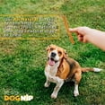 thumbnail image 6 of Gobble! 6-inch Turkey Tendon Strips, Made in USA, 6 oz. (45-50 Pieces) Dog Treats, 6 of 6