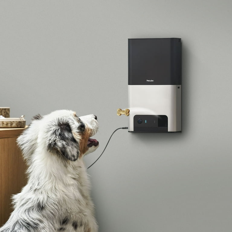 Petcube bites hotsell