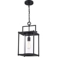 thumbnail image 5 of Quoizel Garrett 9" Outdoor Hanging Light in Matte Black, 5 of 5