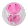 thumbnail image 5 of Pet Hamster Guinea Pig Exercise Running Ball Play Gyro Toy Plastic Funny Cp10, 5 of 5