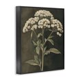thumbnail image 3 of Stupell Industries Sophisticated Floral Portrait Black Framed Giclee Art, design by Petal Prints Design, 3 of 8