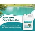 Crystal Blue Ocean Blue Lake and Pond Colorant 1 gal - Walmart.com