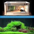 thumbnail image 4 of Terrarium Thermostat, Cooling And Heating Thermostat Socket, Reptile Thermostat For Snakes, Turtles, Lizards, Geckos And Other Reptiles, 4 of 5
