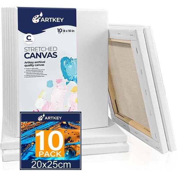 Artkey - Lienzos para pintar de 8 x 10 pulgadas, 10 unidades, lona estirado de perfil de 5/8 pulgadas, 100% algodón, lona en blanco blanco