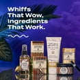 thumbnail image 7 of Indigo Wild Lavender Zum Mist Blends 3-Pack, 7 of 7