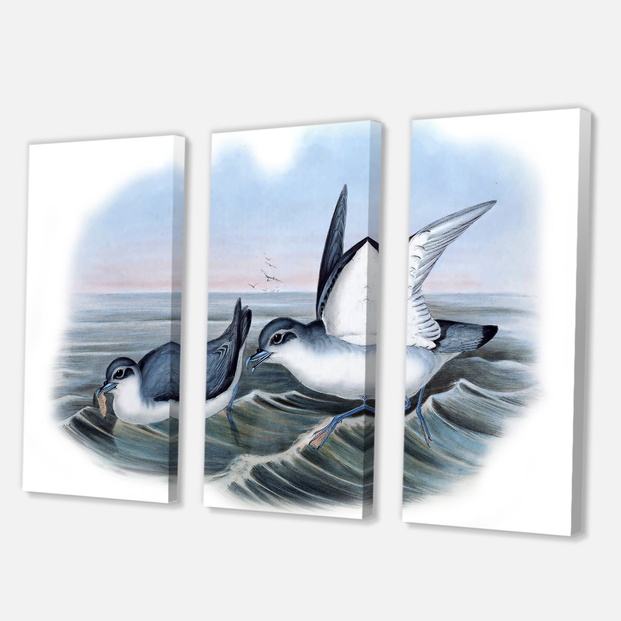 Designart ' Ancient Bird Life X ' Traditional Canvas Wall Art Print