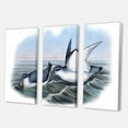 thumbnail image 3 of Designart ' Ancient Bird Life X ' Traditional Canvas Wall Art Print, 3 of 3