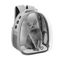 thumbnail image 1 of Mochila portabebés Dorphy Space Capsule para gato y perro, color gris, 1 of 7