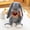 brown Clothes gray, variant on Cute Floppy Ear Bunny Stuffed Animal Set, Soft Fluffy Rabbit Plush Toys for Kids Bunny Lovers & Gifts