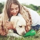 thumbnail image 5 of Juguete masticable para Perros Sincero cocodrilo verde con sonido, 5 of 5