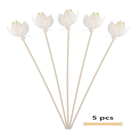 Aromatherapy Rattan Dried Flower Head Fragrant Reed DIY Home Office Spa Bed Room Decoration
