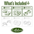 thumbnail image 2 of Callahan Brake Parts Brake Kit for Nissan Armada 2005, Nissan Pathfinder Armada 2004, Nissan TITAN 2004-2005 Front Replacement Brake Rotors with Ceramic Brake Pads and Brake Calipers CLHCCO111645B, 2 of 6