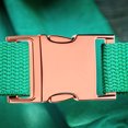 thumbnail image 1 of WASHWEPE 4Jgo Hebillas De Zinc Para De Bolsos Cinturones Y Accesorios Color Dorado, 1 of 6