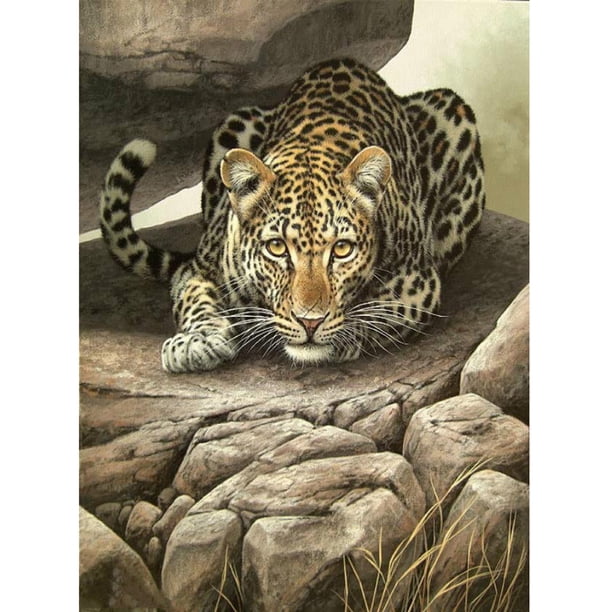 Cuadros Decorativos (DF3640) 5D DIY taladro completo diamante pintura tigre bordado mosaico Craft Kit (W594) 50x70cm Likrtyny embutido en tela