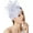 Gris, variant on Fascinator Hats for Women – Perfect for Tea Parties, Kentucky Derby, and Weddings. Adorned with Flowers and Feathers, these headbands and hair clips add a touch of elegance to any outfit.