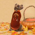thumbnail image 5 of Vehomy 2Pcs Dog Cat Thanksgiving Sweaters Dog Pumpkin Turkey Sweaters Thanksgiving Dog Cat Turtleneck Knitwear Shirt Clothes Dog Puppy Halloween Costume Clothes for Small Medium Dogs Cats XXL, 5 of 6
