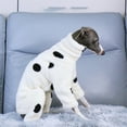 thumbnail image 4 of HQREA Winter Dog Coats Fashion Thick Warm Fluffy Fleece Onesie Outfit for Italian Greyhound, 4 of 6