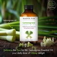 thumbnail image 5 of MAJESTIC PURE Lemongrass Essential Oil | 100% Pure and Natural Lemongrass Oil | Premium Grade Essential Oils for Hair Care, Home Diffusers, Skin, Aromatherapy, Massage and Humidifiers | 4 Fl Oz, 5 of 10