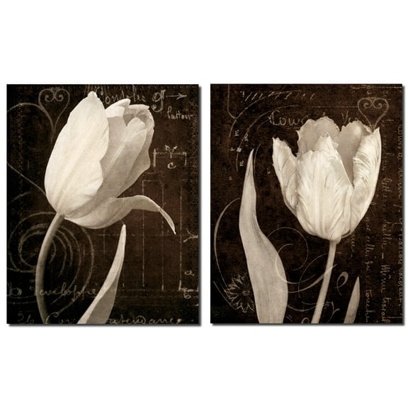 Classic Sepia Brown and White Tulips; Adult Floral Decor; 2 - 11" x 14" Unframed Prints