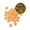 Orange, variant on 200pc Sparkling Luminous Stones Glowing Rocks for Aquarium Bling Glow Stones for Fish Tank Glowing Stones for Landscaping Glow in The Dark Garden Pebbles Outdoor for Yard Walkway