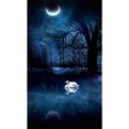 thumbnail image 1 of Taladro de pintura de diamante 5D Kits de bricolaje Luna redonda completa Cisne Lago Mosaico Imagen Arte FLhrweasw Nuevo, 1 of 9