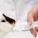 thumbnail image 3 of Comederos para medicinas de mascotas, jeringas, comederos con cuentagotas, comederos con chupetes para pezones, para alimentar medicamentos u otros Zhivalor 220369-1, 3 of 4