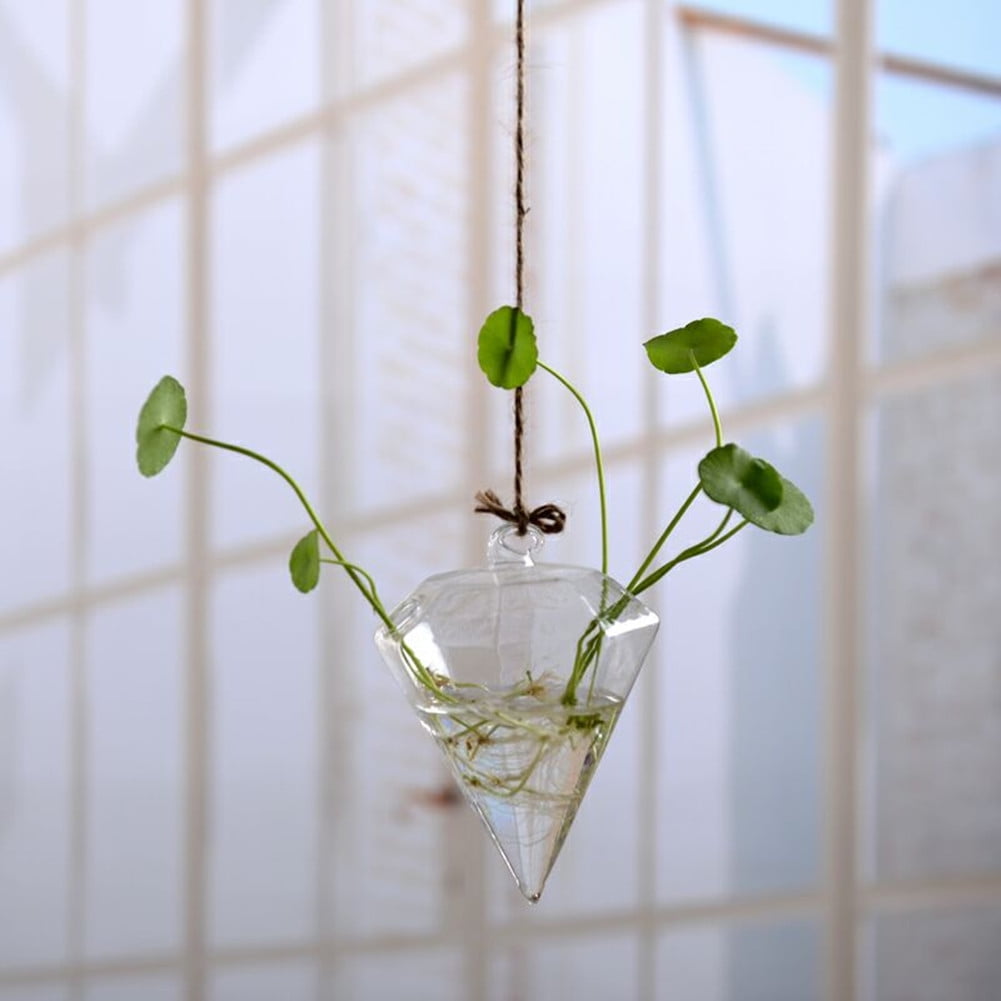 Home Garden Clear Hanging Glass Flower Hanging Vase Planter Terrarium Container 