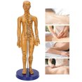 thumbnail image 4 of Modèle d'Acupuncture Corporelle Humaine pour Hommes et Femmes Matériau PVC Couleur Cuivre avec Grande Base Design à Point Fixe 360/361 Points d'Acupuncture pour Enseignement de la Médecine Chinoise Massage, 4 of 8