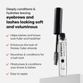 thumbnail image 3 of Aceite para cejas y pestañas Cureskin, nutre y fortalece, 7 ml, 3 of 7