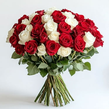Globalrose Fresh Cut Flowers, 50 Stems - 25 Red and 25 White Roses