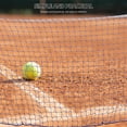 thumbnail image 2 of Phenofice Standard Badminton Net Design Polypropylene Fabric for Family 1Pack, 2 of 8