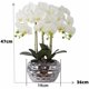 thumbnail image 3 of Orquídeas Artificiales de Tacto Real, Orquídea Phalaenopsis con Macetas de Cerámica Plateadas, para Hogar, Oficina, Baño, Sala de Estar y Decoración de Bodas, Color Blanco, 3 of 4