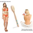thumbnail image 3 of Body brush for wet or dry brushing with long wooden handle, 3 of 5
