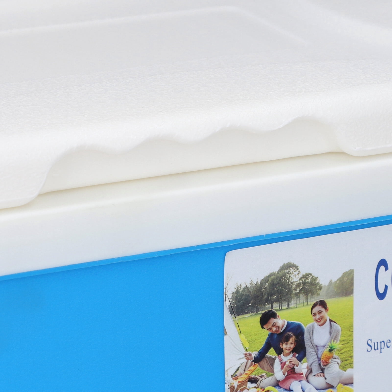 BIMZUC 10L Hard Sided Cooler Box High Performance Insulated Ice Chest with Heavy Duty Handle for Outdoor Camping Picnic Fishing Beach Drinks and Beer, Blue (11.4x8.9x10.4 Inches / 29x22.5x26.5 cm)