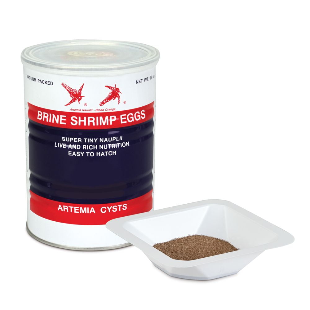 Buy 15 Oz Brine Shrimp Artemia Eggs Online Kuwait Ubuy