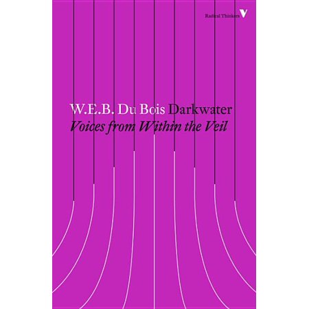 ISBN 9781784787752 product image for Radical Thinkers: Darkwater : Voices from Within the Veil (Paperback) | upcitemdb.com
