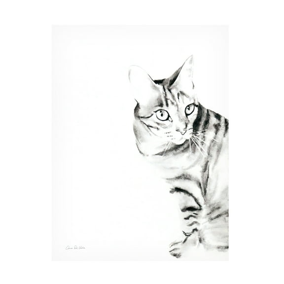 Trademark Fine Art 'Sadie the Cat' Canvas Art by Aimee Del Valle